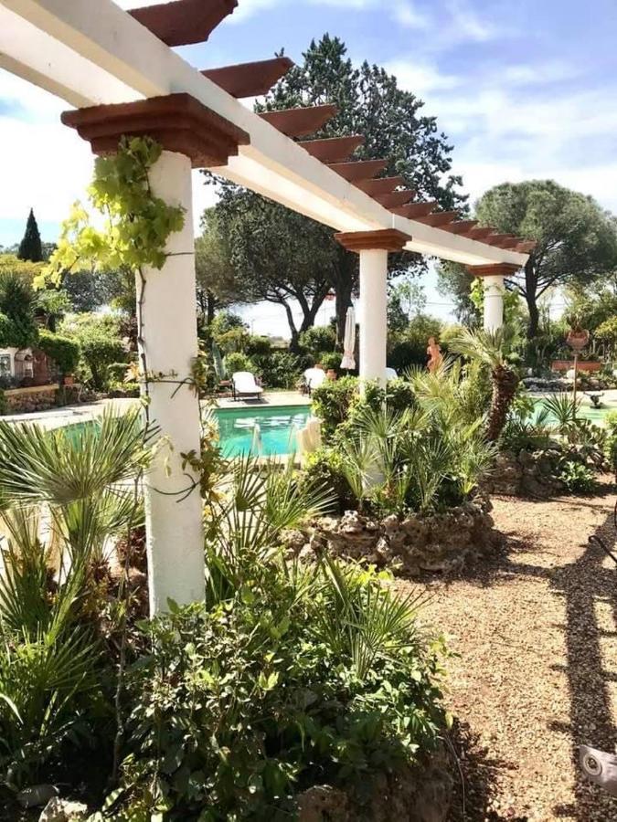 La Cactee Singuliere Bed & Breakfast Beziers Exterior photo