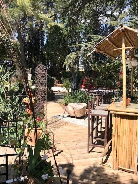 La Cactee Singuliere Bed & Breakfast Beziers Exterior photo